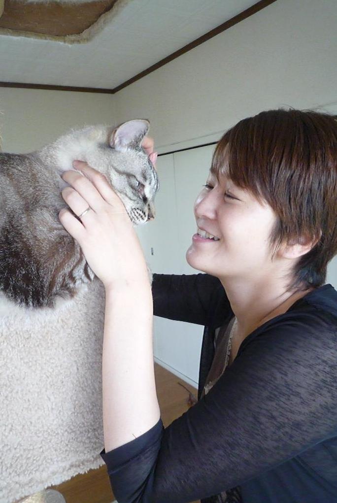 ことねこ自己紹介 | 横浜の猫専門ペットシッターのブログ 『ことねこと』