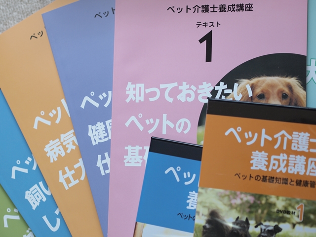 がくぶんさんの『ペット介護士講座』を始めています！ | 横浜の猫専門